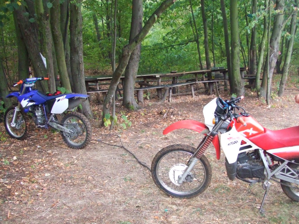 Натиснете снимката за да я уголемите

Име:DSCF3484.jpg
Прегледи:1
Размер:253.4 КБ
ID:5416821