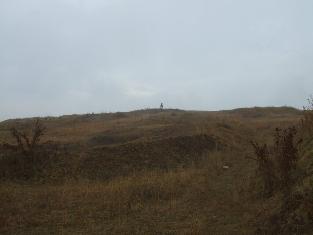 Натиснете снимката за да я уголемите

Име:DSCF3509.jpg
Прегледи:1
Размер:74.4 КБ
ID:5416865