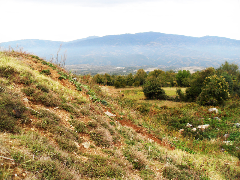 Натиснете снимката за да я уголемите

Име:SDC13112.jpg
Прегледи:1
Размер:570.2 КБ
ID:5417046