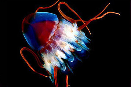 Натиснете снимката за да я уголемите

Име:tumblr_m80l02MypD1qemlca.jpg
Прегледи:1
Размер:28.5 КБ
ID:5988376