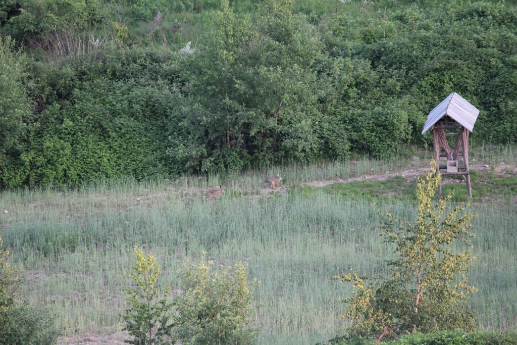 Натиснете снимката за да я уголемите

Име:IMG_5754.jpg
Прегледи:1
Размер:225.1 КБ
ID:5419752
