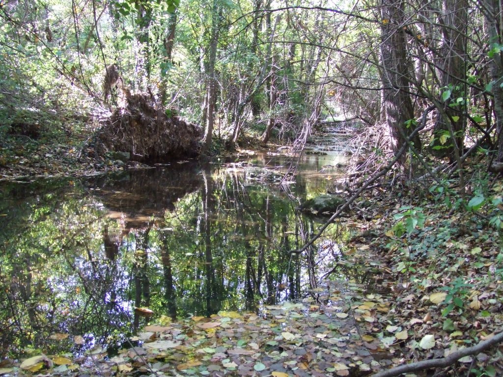 Натиснете снимката за да я уголемите

Име:DSCF3583.jpg
Прегледи:1
Размер:329.4 КБ
ID:5419867