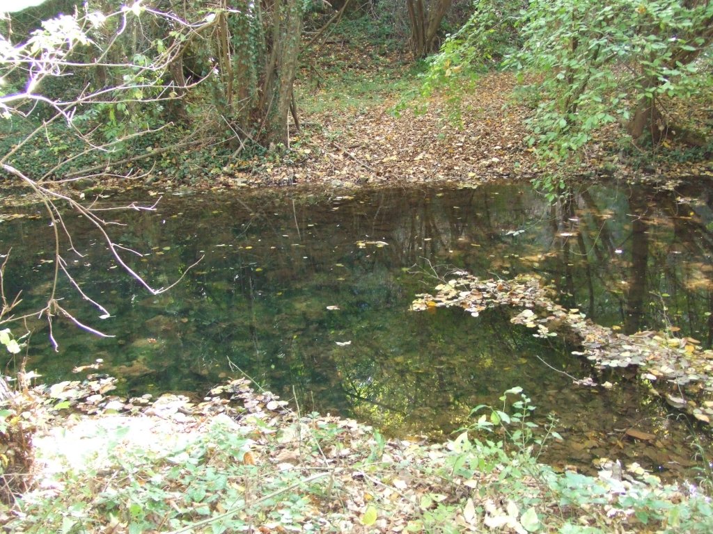 Натиснете снимката за да я уголемите

Име:DSCF3584.jpg
Прегледи:1
Размер:270.4 КБ
ID:5419868