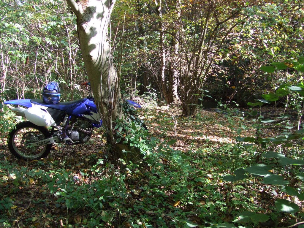 Натиснете снимката за да я уголемите

Име:DSCF3585.jpg
Прегледи:2
Размер:333.5 КБ
ID:5419869