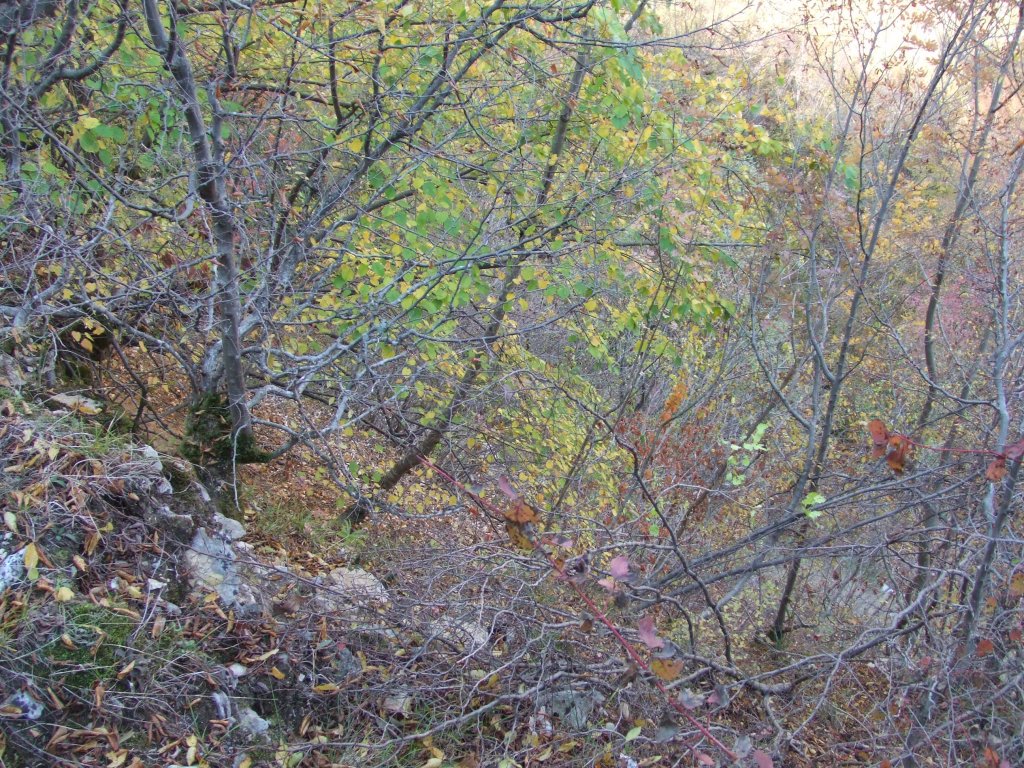 Натиснете снимката за да я уголемите

Име:DSCF3594.jpg
Прегледи:1
Размер:319.9 КБ
ID:5419881