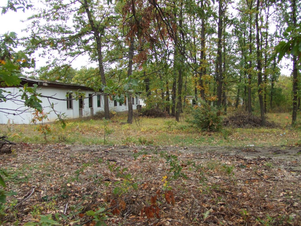 Натиснете снимката за да я уголемите

Име:DSCF3619.jpg
Прегледи:1
Размер:317.8 КБ
ID:5420267