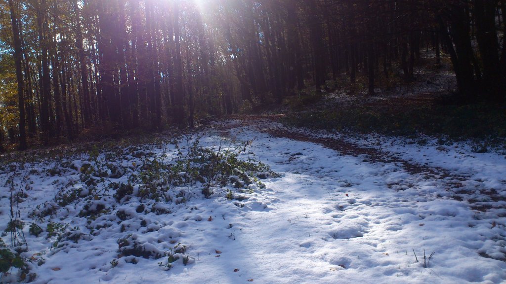 Натиснете снимката за да я уголемите

Име:DSC_0195.jpg
Прегледи:1
Размер:146.6 КБ
ID:5420483