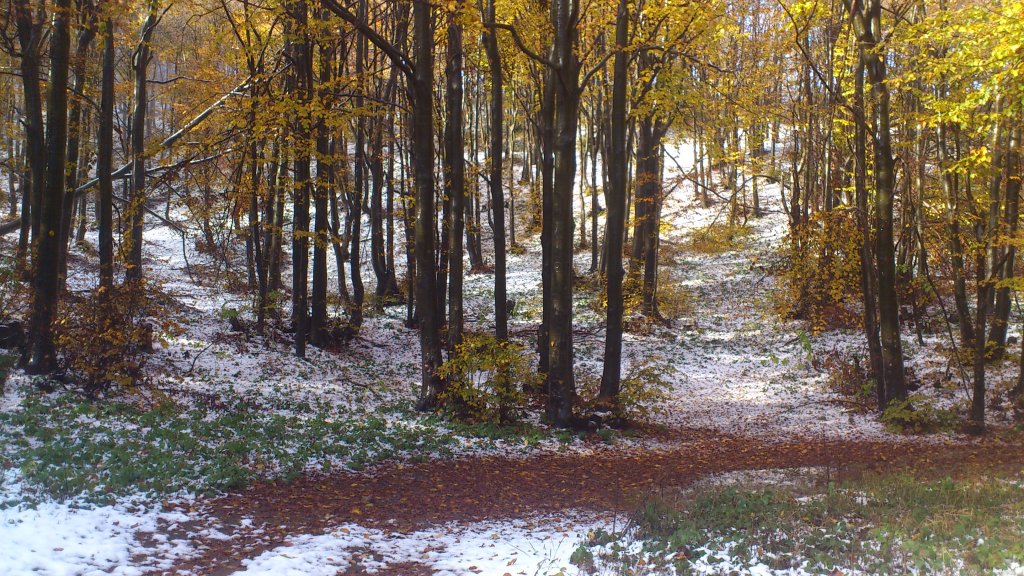 Натиснете снимката за да я уголемите

Име:DSC_0196.jpg
Прегледи:1
Размер:244.1 КБ
ID:5420484