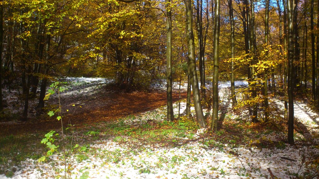 Натиснете снимката за да я уголемите

Име:DSC_0197.jpg
Прегледи:2
Размер:251.3 КБ
ID:5420485