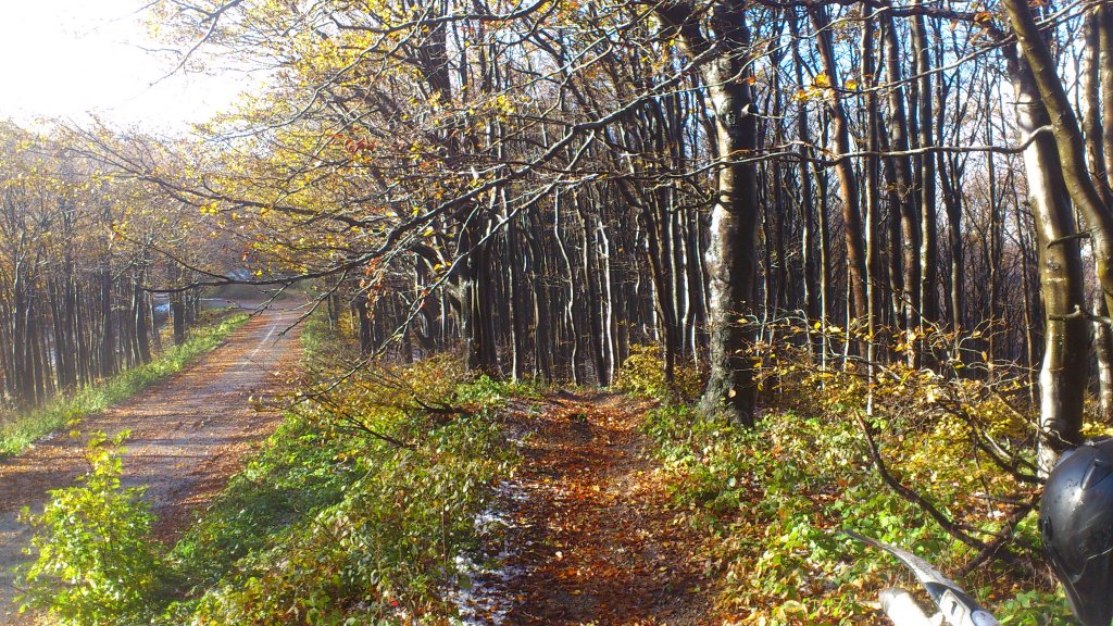 Натиснете снимката за да я уголемите

Име:DSC_0201.jpg
Прегледи:1
Размер:277.9 КБ
ID:5420488