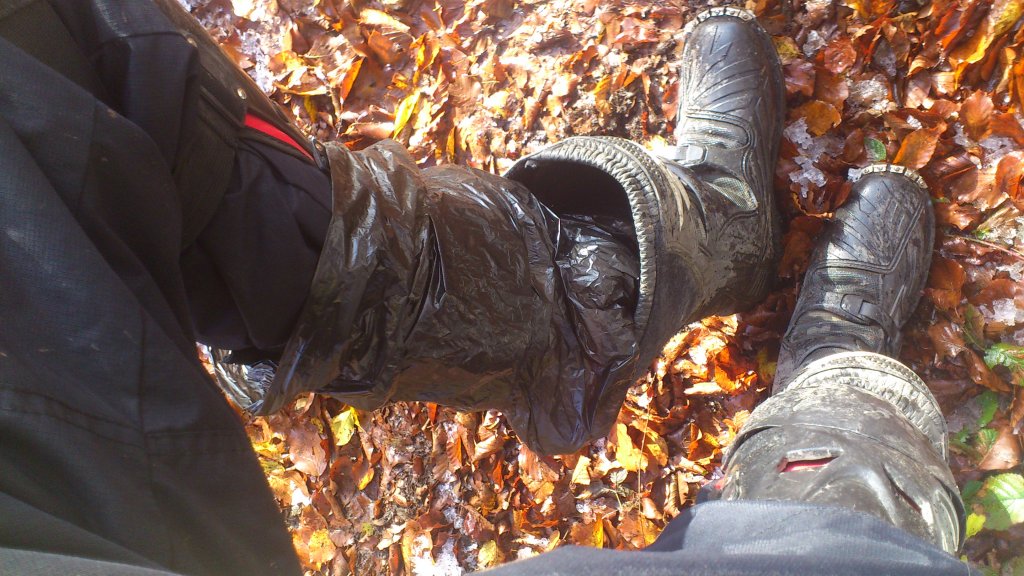 Натиснете снимката за да я уголемите

Име:DSC_0202.jpg
Прегледи:1
Размер:164.6 КБ
ID:5420489