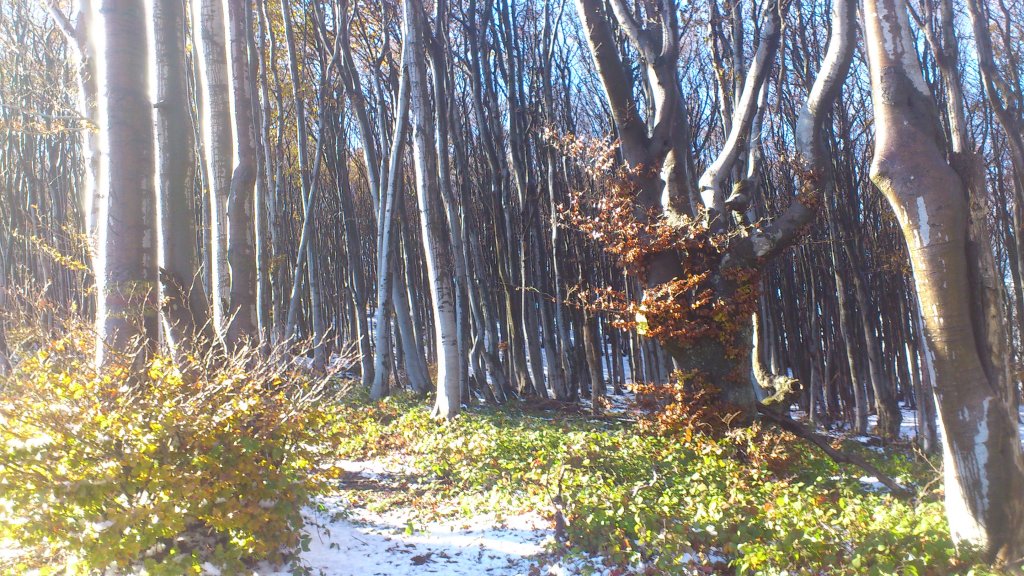 Натиснете снимката за да я уголемите

Име:DSC_0204.jpg
Прегледи:1
Размер:231.9 КБ
ID:5420491