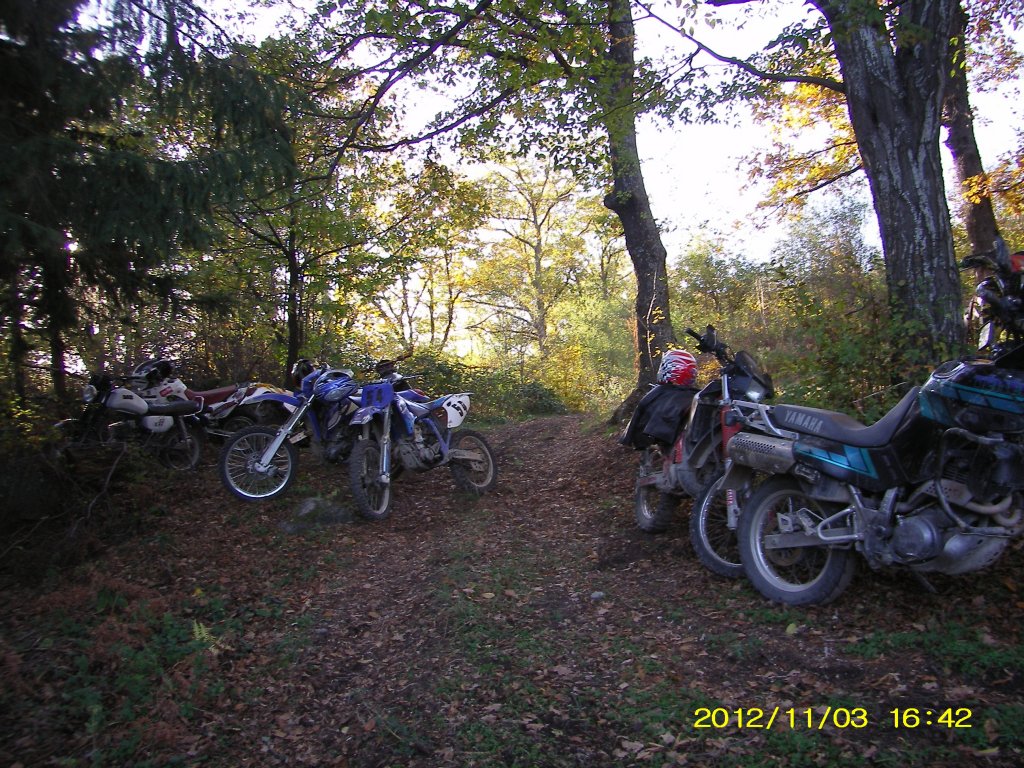 Натиснете снимката за да я уголемите

Име:SL555189.jpg
Прегледи:1
Размер:269.2 КБ
ID:5421109