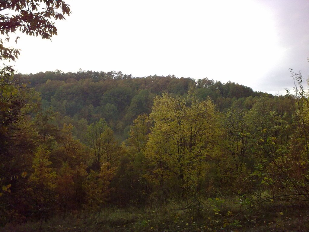 Натиснете снимката за да я уголемите

Име:01112012262.jpg
Прегледи:1
Размер:151.4 КБ
ID:5421111