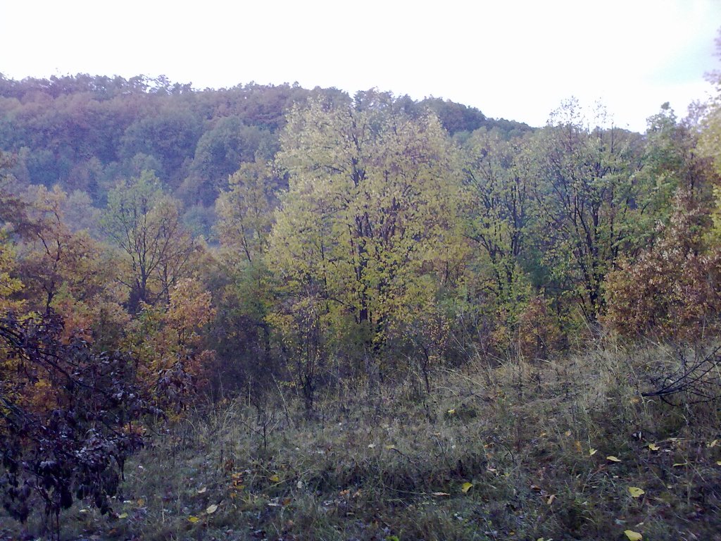 Натиснете снимката за да я уголемите

Име:01112012264.jpg
Прегледи:1
Размер:228.1 КБ
ID:5421112