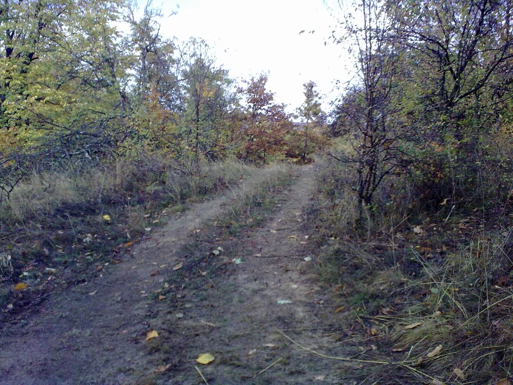 Натиснете снимката за да я уголемите

Име:01112012265.jpg
Прегледи:1
Размер:260.4 КБ
ID:5421113