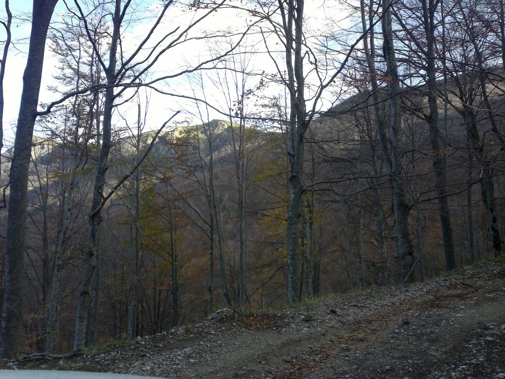 Натиснете снимката за да я уголемите

Име:2012-11-03-666.jpg
Прегледи:1
Размер:244.5 КБ
ID:5421643