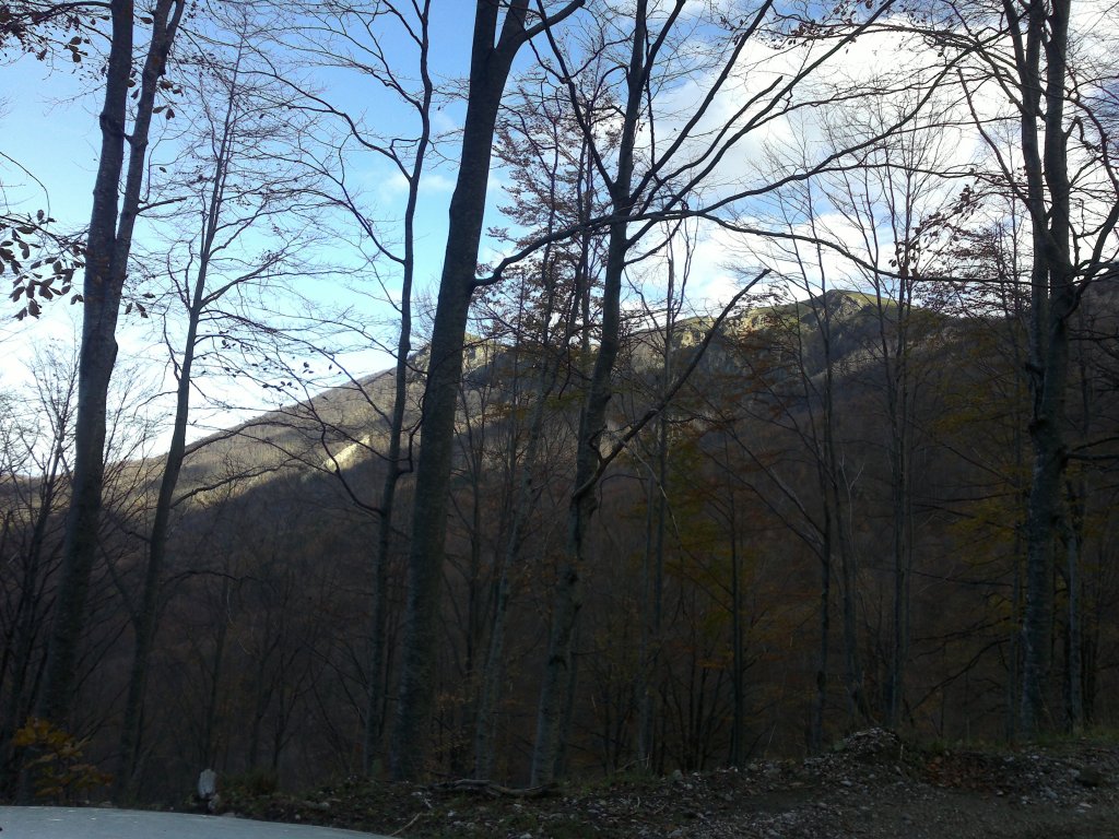 Натиснете снимката за да я уголемите

Име:2012-11-03-667.jpg
Прегледи:1
Размер:226.2 КБ
ID:5421644