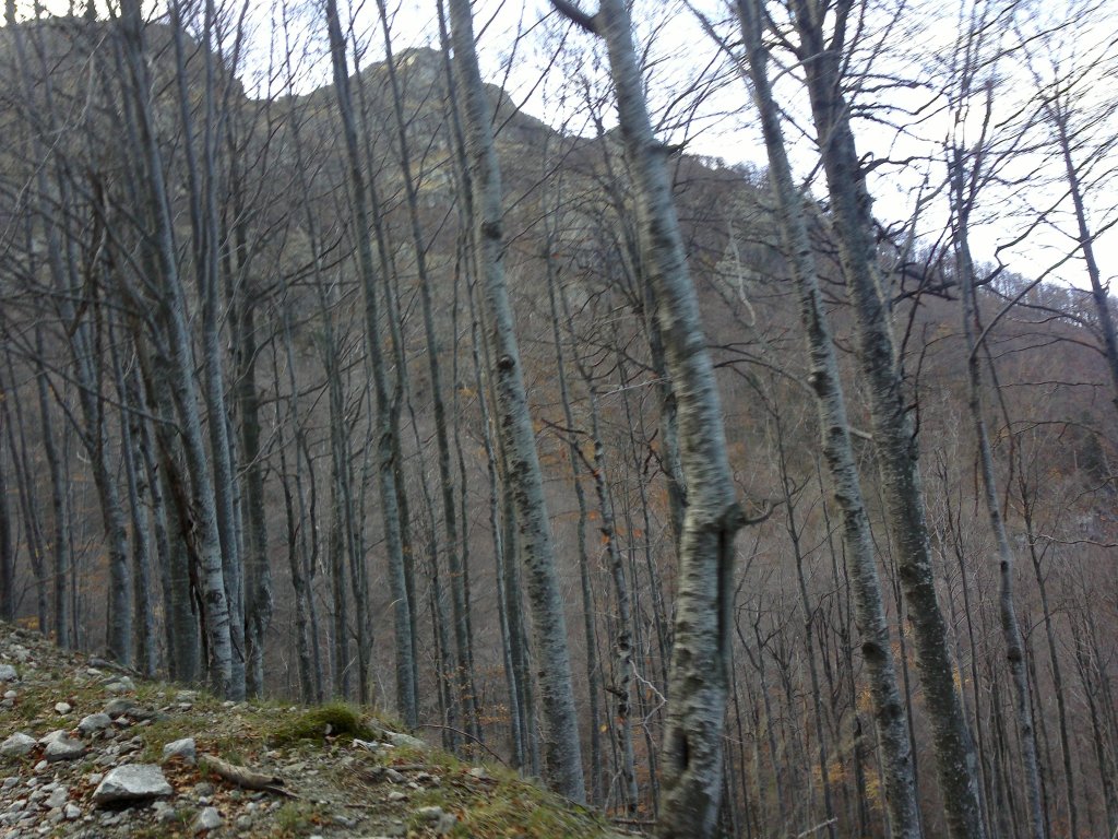 Натиснете снимката за да я уголемите

Име:2012-11-03-681.jpg
Прегледи:1
Размер:219.5 КБ
ID:5421652