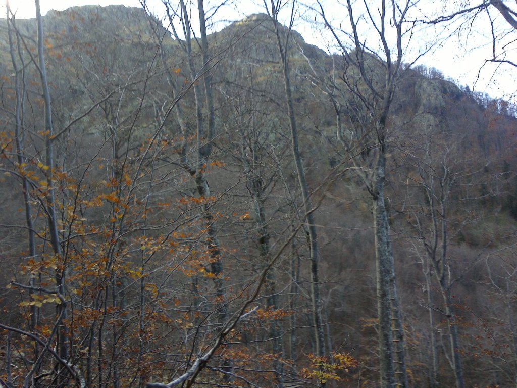 Натиснете снимката за да я уголемите

Име:2012-11-03-684.jpg
Прегледи:1
Размер:195.2 КБ
ID:5421655