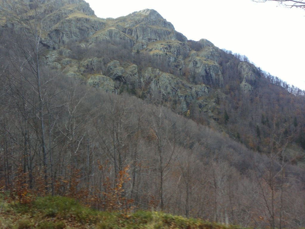 Натиснете снимката за да я уголемите

Име:2012-11-03-692.jpg
Прегледи:1
Размер:138.4 КБ
ID:5421663