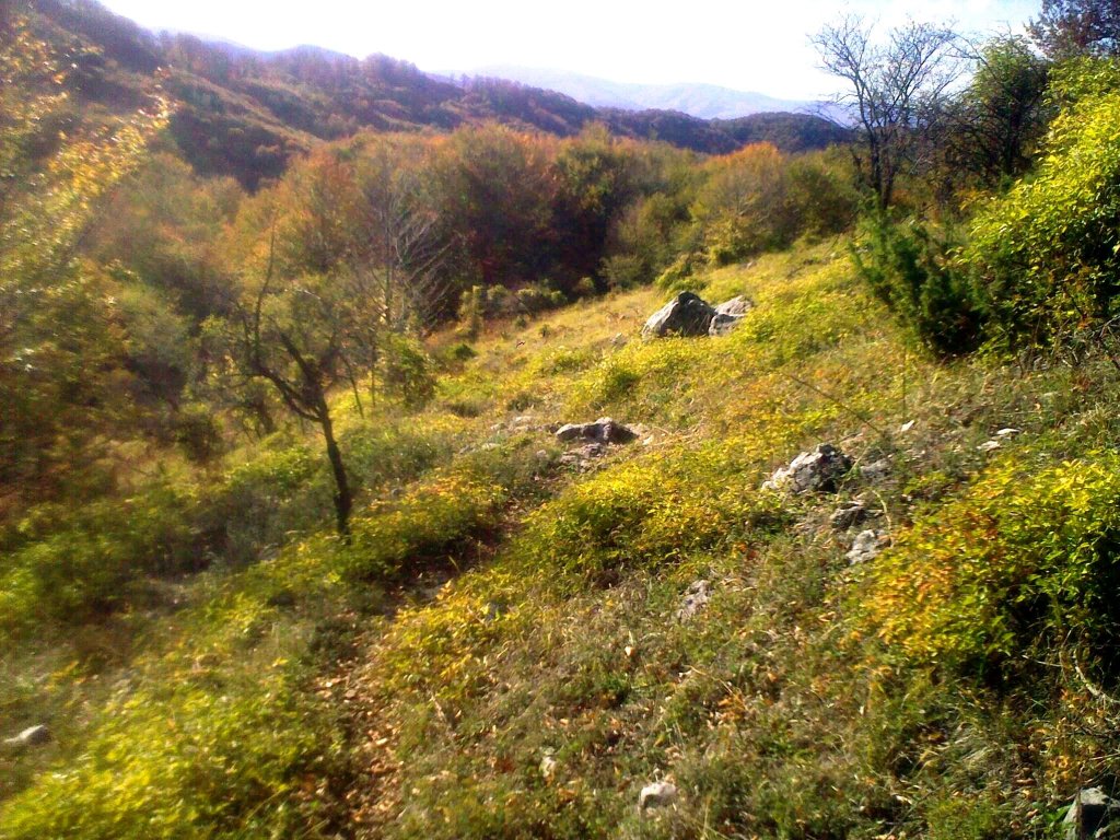 Натиснете снимката за да я уголемите

Име:031120121456.jpg
Прегледи:1
Размер:249.1 КБ
ID:5422895