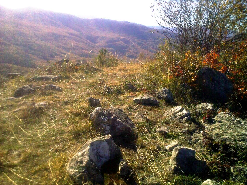 Натиснете снимката за да я уголемите

Име:031120121452.jpg
Прегледи:1
Размер:257.8 КБ
ID:5422903