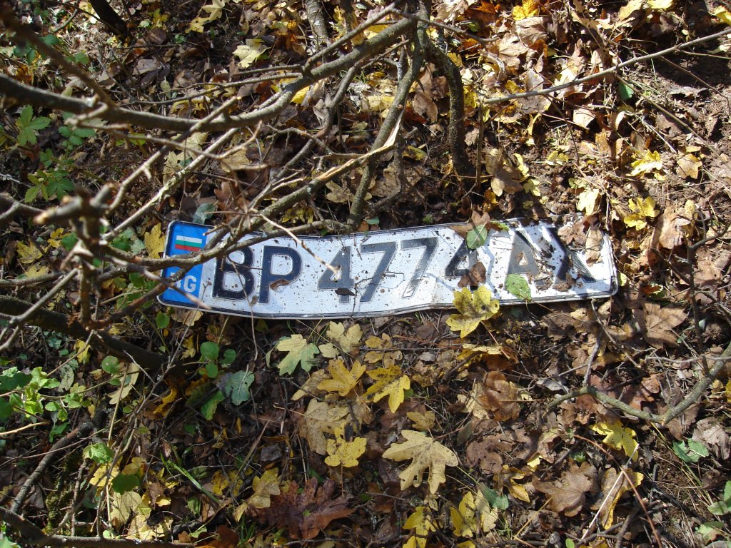Натиснете снимката за да я уголемите

Име:DSC00928.jpg
Прегледи:1
Размер:312.4 КБ
ID:5423318