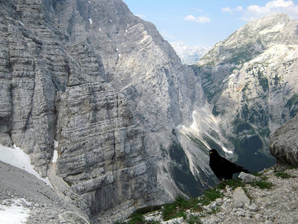 Натиснете снимката за да я уголемите

Име:Slovenia_July 2010 230 5.jpg
Прегледи:1
Размер:225.6 КБ
ID:5990556