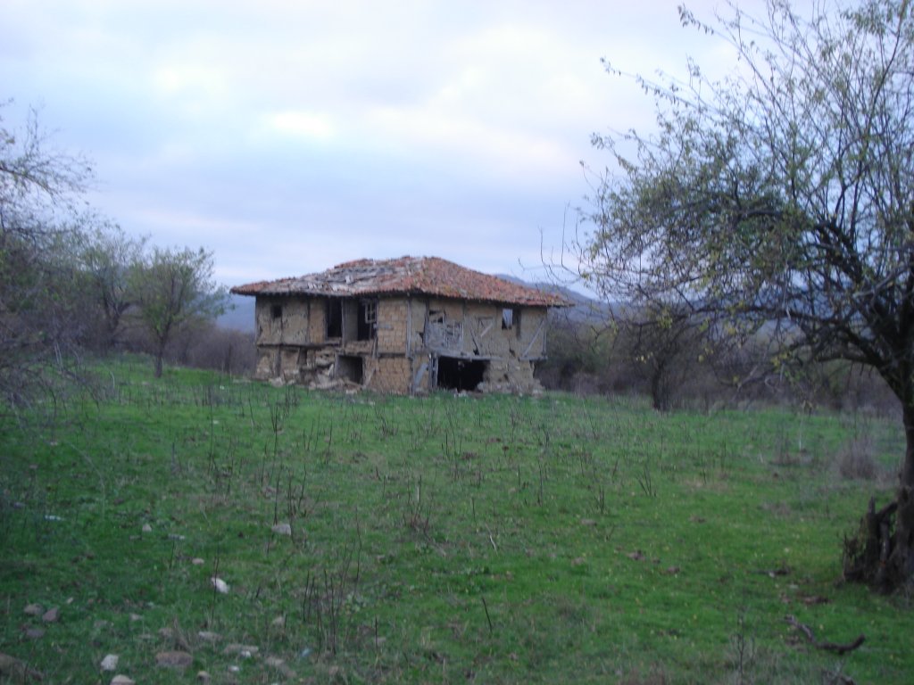 Натиснете снимката за да я уголемите

Име:DSC09513.jpg
Прегледи:1
Размер:132.9 КБ
ID:5427091
