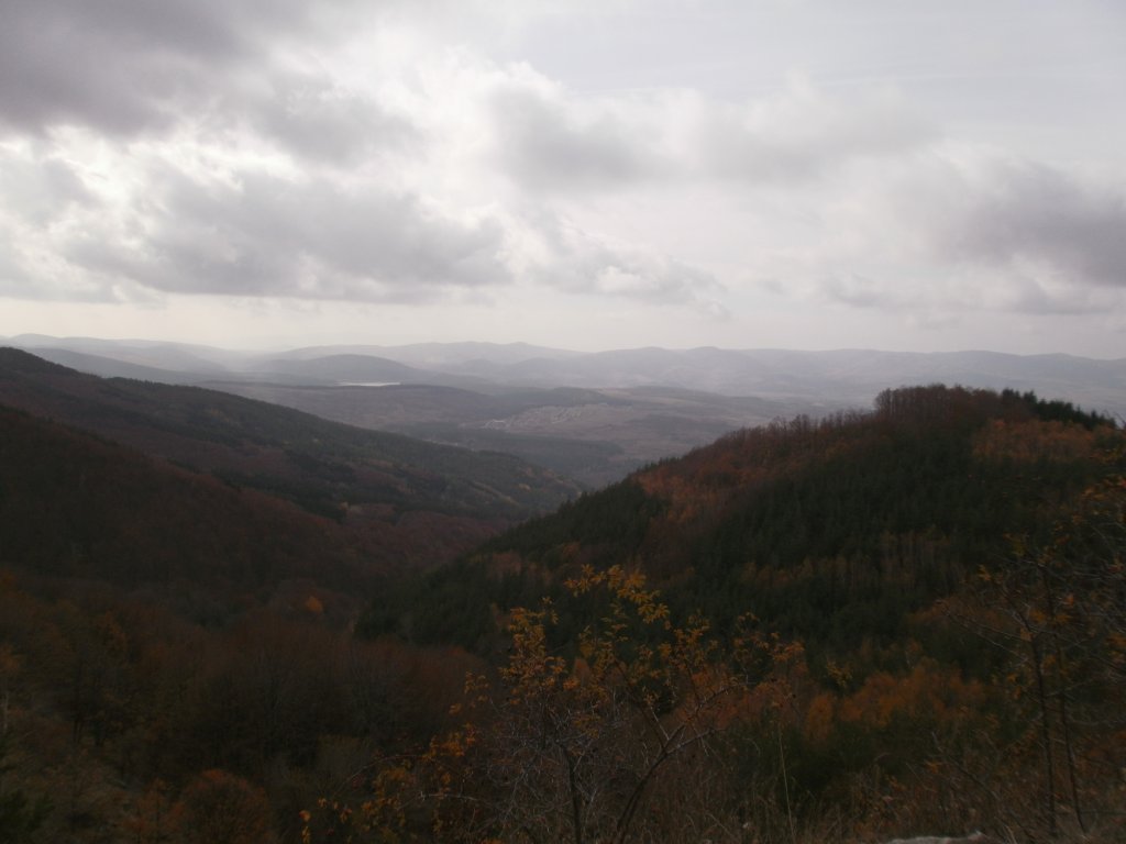 Натиснете снимката за да я уголемите

Име:PB250073.jpg
Прегледи:1
Размер:70.8 КБ
ID:5428226