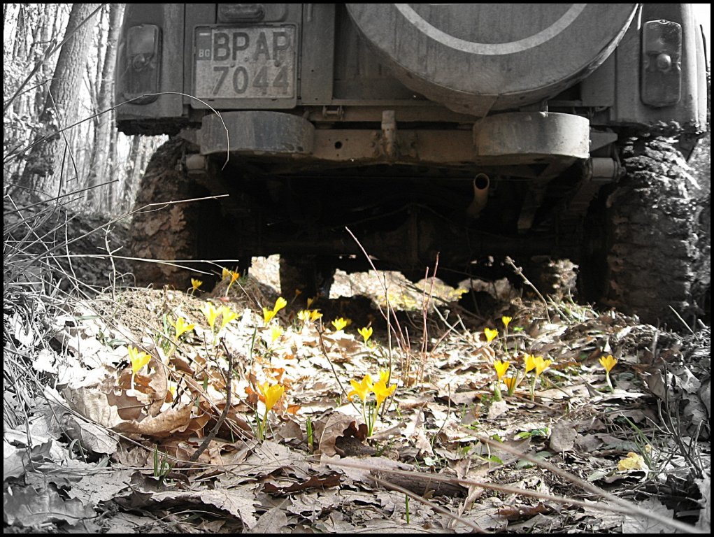 Натиснете снимката за да я уголемите

Име:Picture 087.jpg
Прегледи:1
Размер:251.2 КБ
ID:5428273