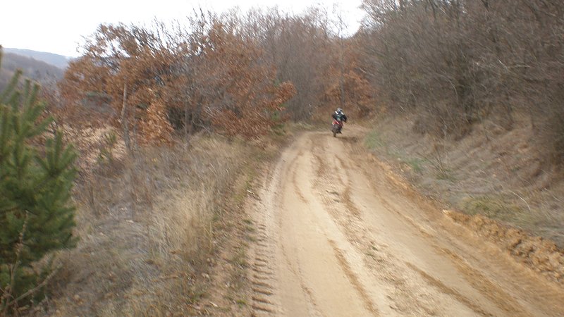 Натиснете снимката за да я уголемите

Име:PB250058.jpg
Прегледи:1
Размер:84.0 КБ
ID:5428441