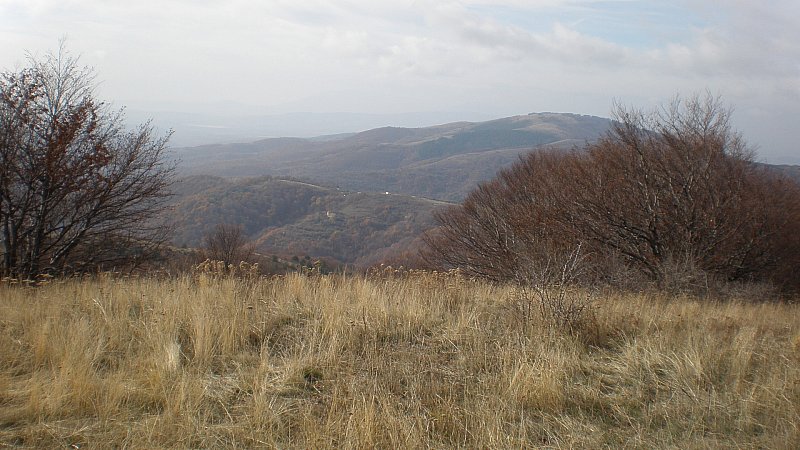 Натиснете снимката за да я уголемите

Име:PB250062.jpg
Прегледи:1
Размер:99.7 КБ
ID:5428445