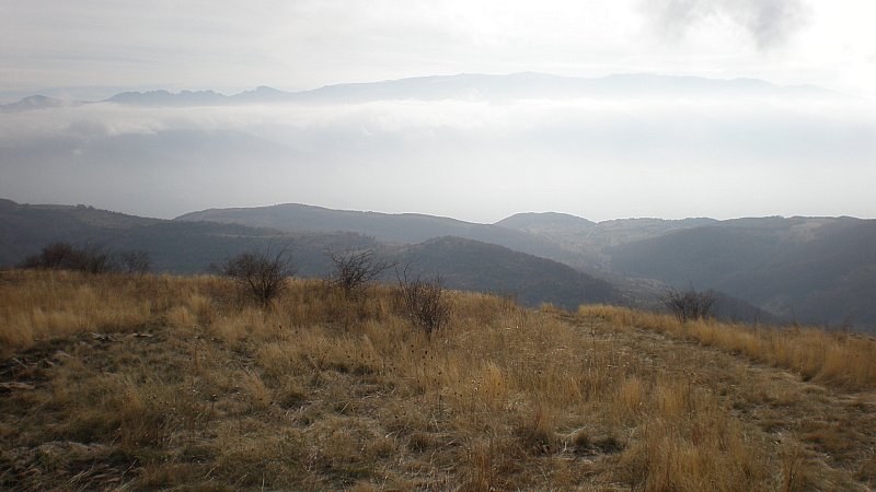 Натиснете снимката за да я уголемите

Име:PB250063.jpg
Прегледи:1
Размер:59.4 КБ
ID:5428446