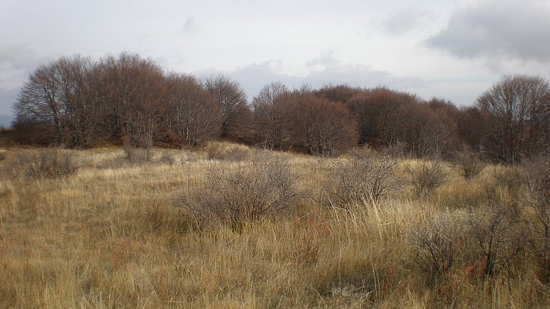 Натиснете снимката за да я уголемите

Име:PB250064.jpg
Прегледи:1
Размер:95.2 КБ
ID:5428447