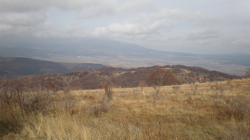 Натиснете снимката за да я уголемите

Име:PB250065.jpg
Прегледи:1
Размер:72.4 КБ
ID:5428448