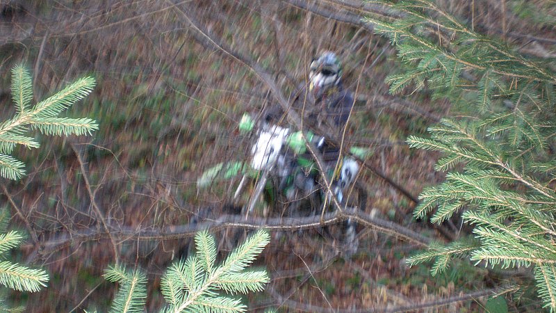 Натиснете снимката за да я уголемите

Име:PB250087.jpg
Прегледи:1
Размер:122.6 КБ
ID:5428492