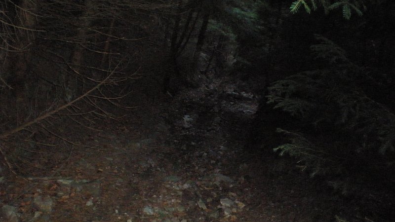 Натиснете снимката за да я уголемите

Име:PB250095.jpg
Прегледи:1
Размер:65.2 КБ
ID:5428500