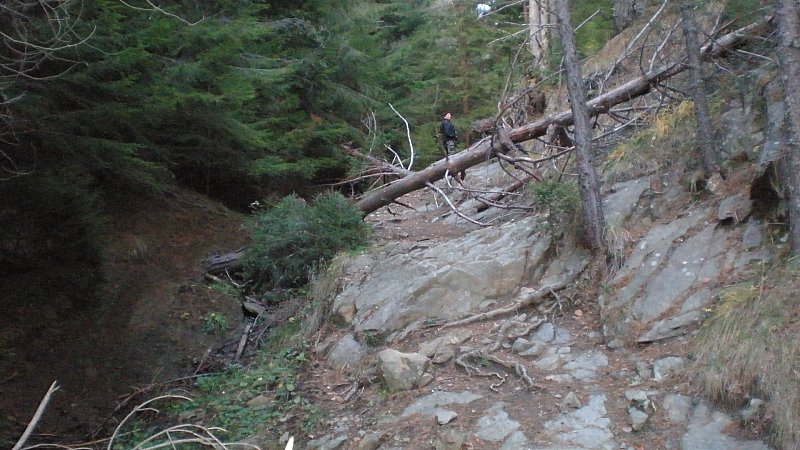 Натиснете снимката за да я уголемите

Име:PB250115.jpg
Прегледи:1
Размер:107.8 КБ
ID:5428558