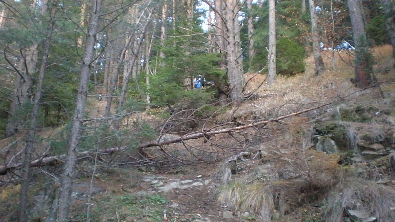 Натиснете снимката за да я уголемите

Име:PB250116.jpg
Прегледи:1
Размер:110.0 КБ
ID:5428559