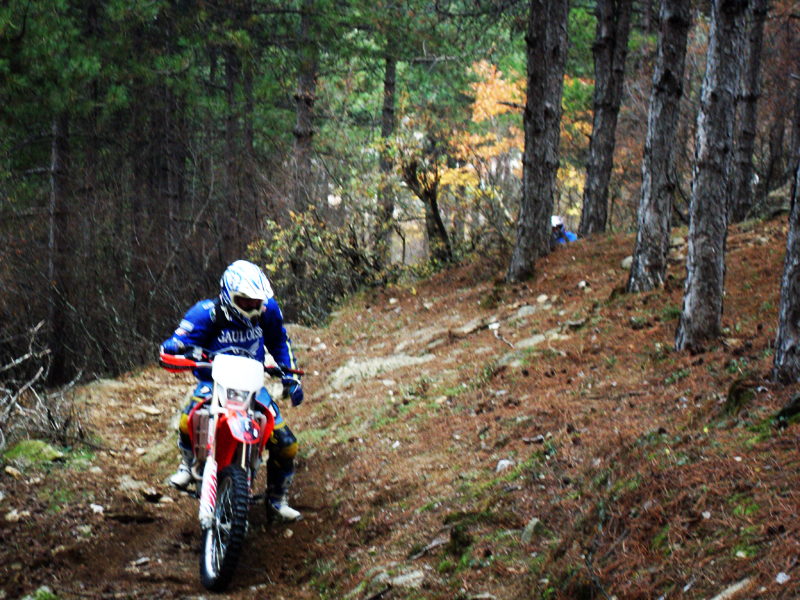 Натиснете снимката за да я уголемите

Име:SDC13195.jpg
Прегледи:1
Размер:654.9 КБ
ID:5428598