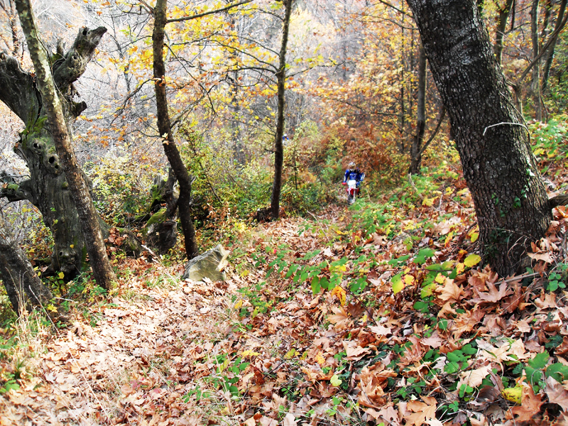 Натиснете снимката за да я уголемите

Име:SDC13198.jpg
Прегледи:1
Размер:837.3 КБ
ID:5428707