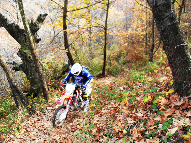 Натиснете снимката за да я уголемите

Име:SDC13199.jpg
Прегледи:1
Размер:742.9 КБ
ID:5428710