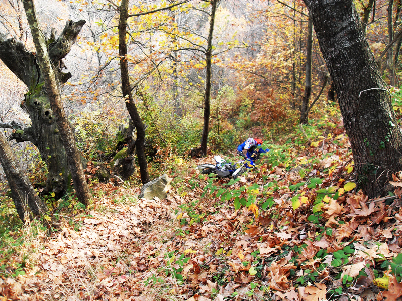 Натиснете снимката за да я уголемите

Име:SDC13200.jpg
Прегледи:1
Размер:841.6 КБ
ID:5428715