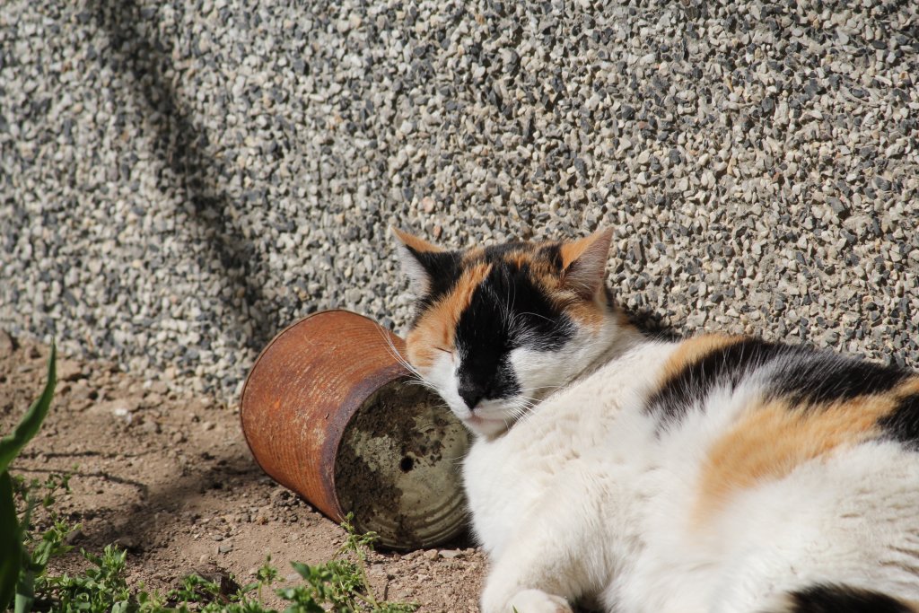 Натиснете снимката за да я уголемите

Име:IMG_2630.jpg
Прегледи:2
Размер:212.3 КБ
ID:5433688