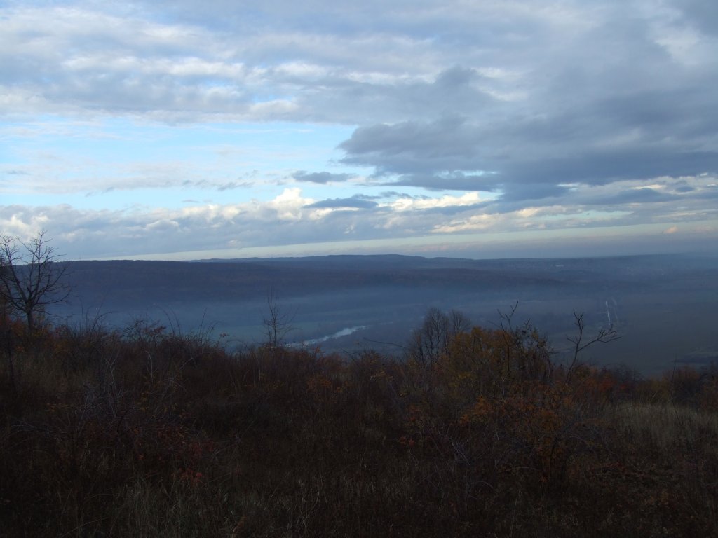 Натиснете снимката за да я уголемите

Име:DSCF3719.jpg
Прегледи:1
Размер:87.9 КБ
ID:5431512