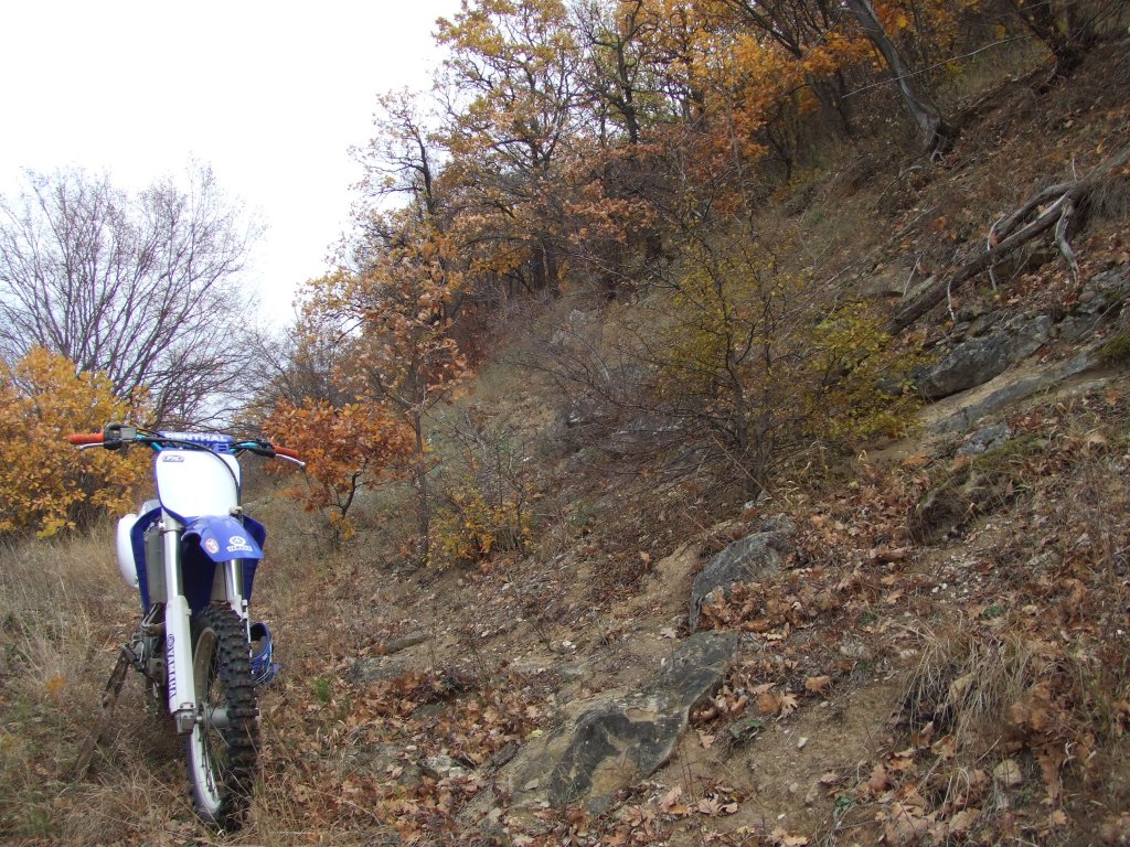 Натиснете снимката за да я уголемите

Име:DSCF3736.jpg
Прегледи:1
Размер:272.5 КБ
ID:5431514