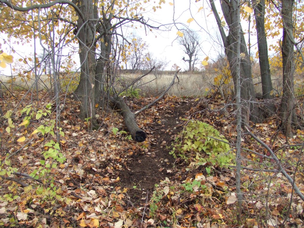 Натиснете снимката за да я уголемите

Име:DSCF3723.jpg
Прегледи:1
Размер:301.6 КБ
ID:5431516