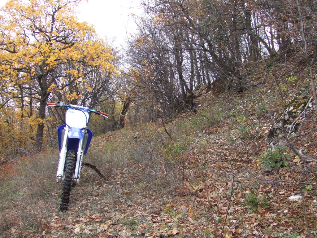 Натиснете снимката за да я уголемите

Име:DSCF3726.jpg
Прегледи:1
Размер:330.9 КБ
ID:5431519